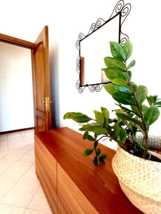 PederobbaRelax Nelle Colline Del Prosecco公寓 外观 照片