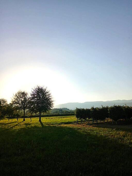 PederobbaRelax Nelle Colline Del Prosecco公寓 外观 照片